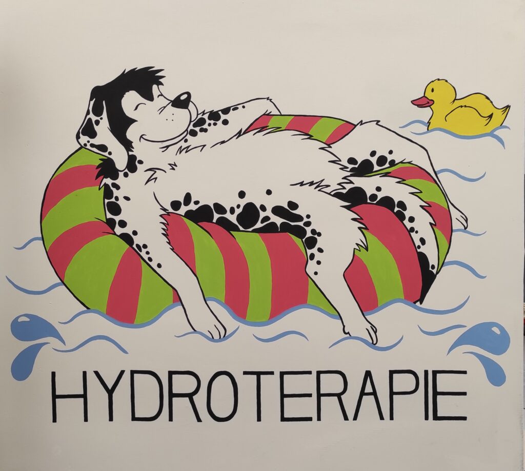 Refyvet_hydroterapie